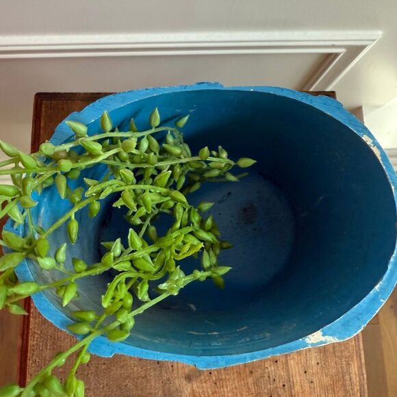 Vintage Campana Art Prod Inc 1976 Jean Shorts Pencil Holder Small Planter - Picture 3 of 7